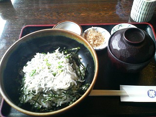 釜揚しらす丼