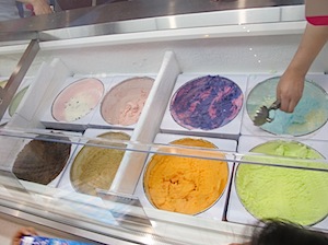 数あるアイスクリームの種類