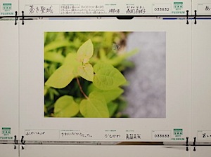 みらいまんの写真
