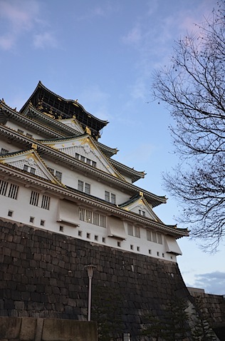 見上げた大阪城