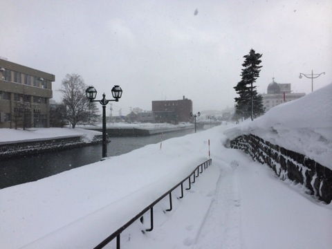 雪積もりまくり